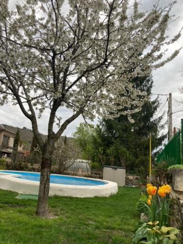 Casa Rural El Eden Del Ungria Caspueñas المظهر الخارجي الصورة
